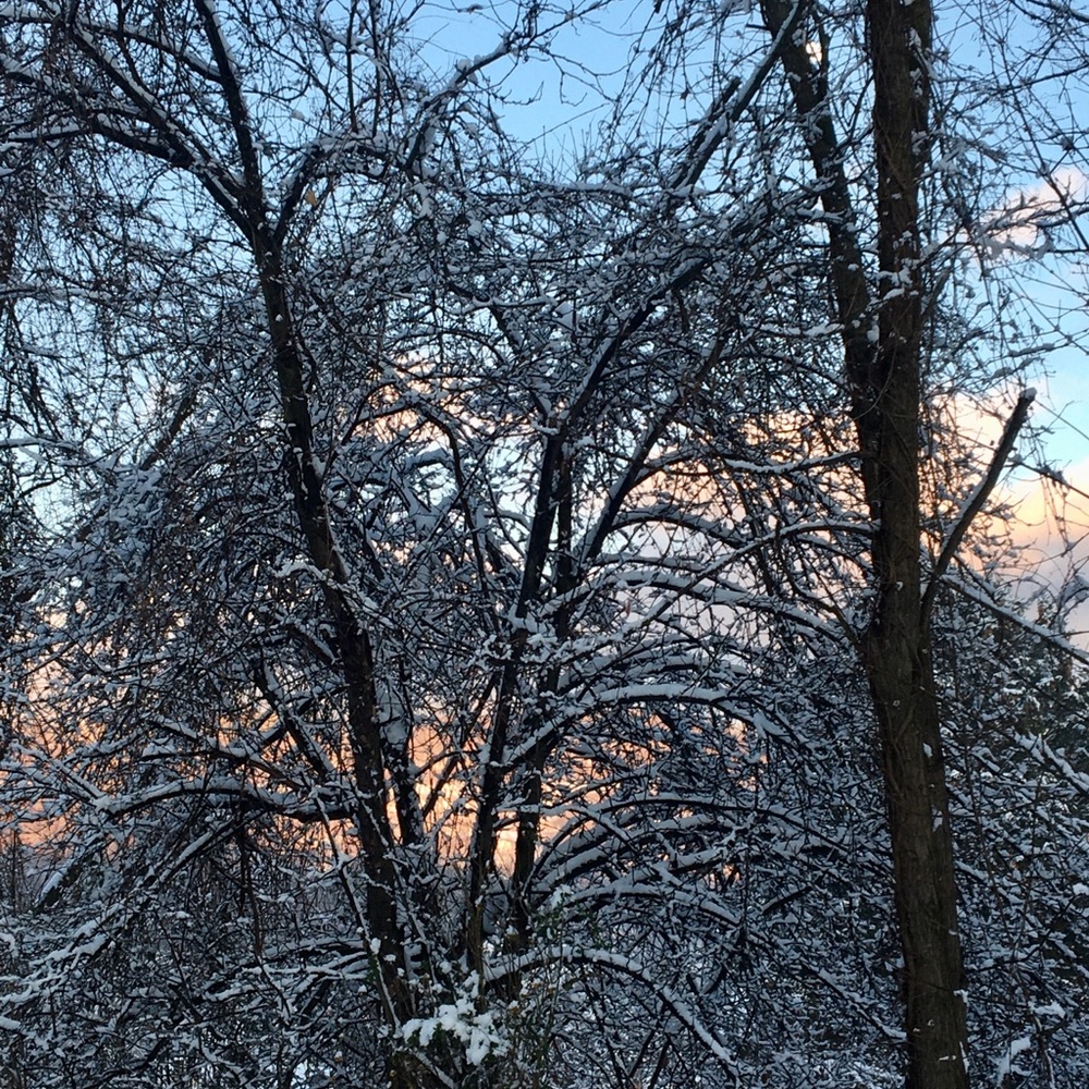 Meet your Posher, Diane